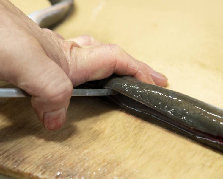 うなぎをさばいている